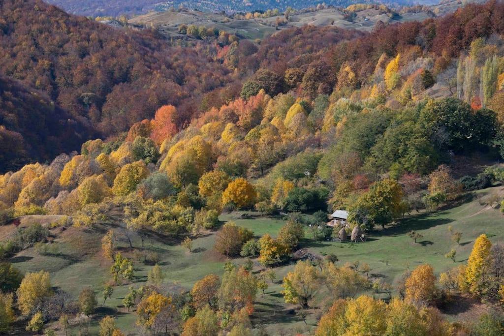 Valley View Breaza Bagian luar foto